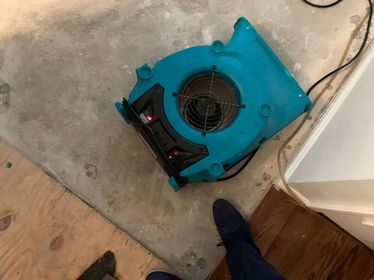 Air mover drying subfloor during Leak Detection & Repair in Anthony